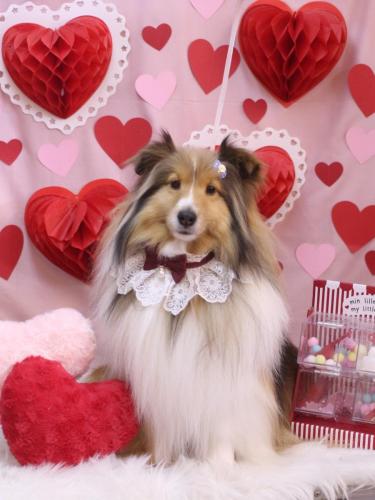 20240229ノアくん